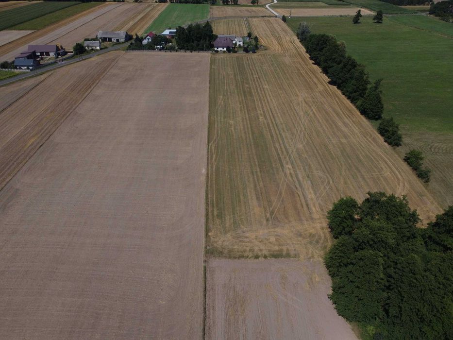 SPRZEDAM ZIEMIĘ ROLNĄ - Kiełczew Smużny Pierwszy