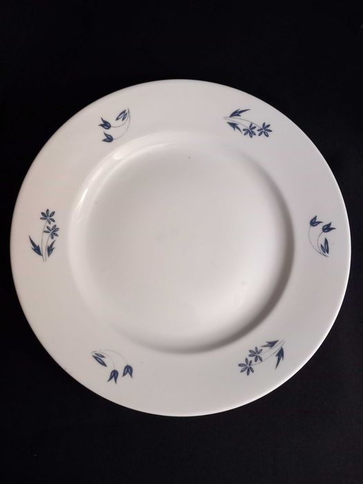 Prato Vista Alegre Flores azuis