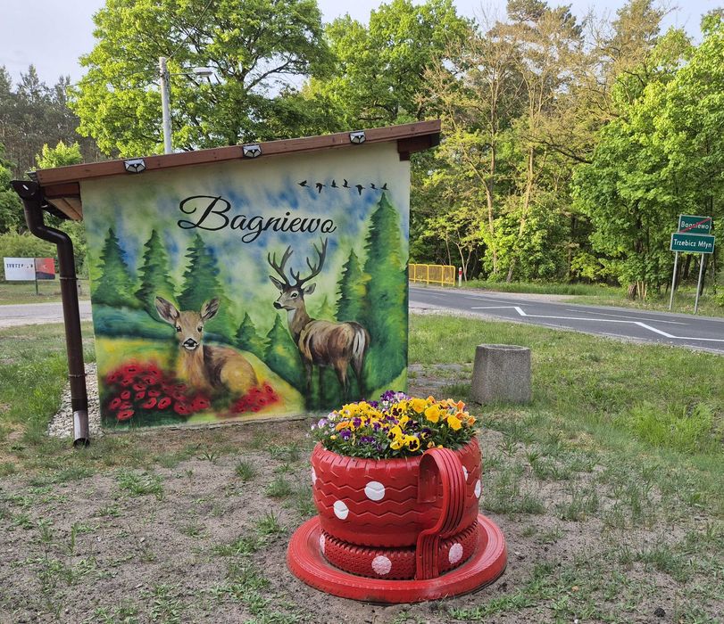 Zdjęcie 3