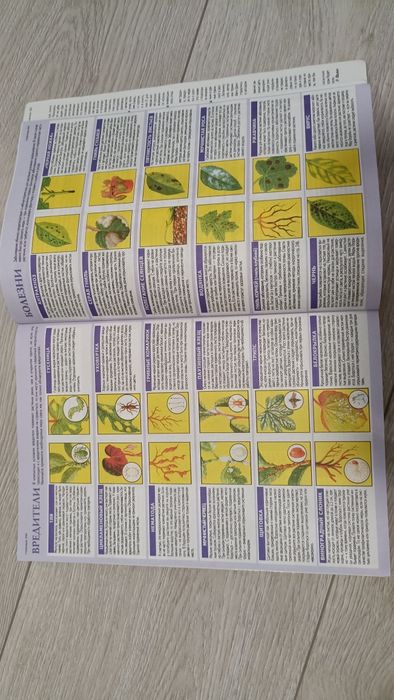 Продам книгу Всё о комнатных растениях