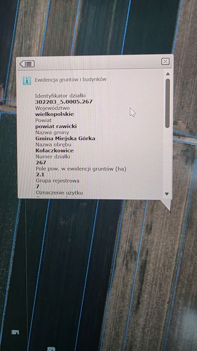 Zdjęcie 4