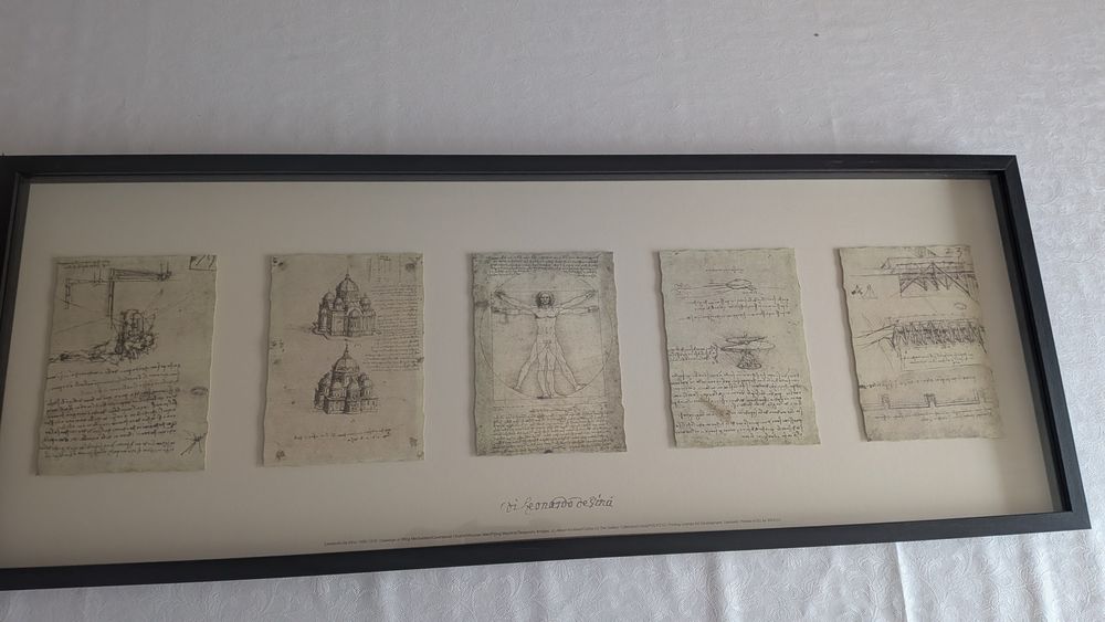 Obraz ilustracje Leonardo da Vinci