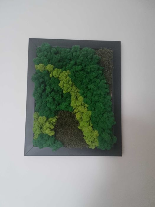 Obraz z mchu chrobotka 42x52cm