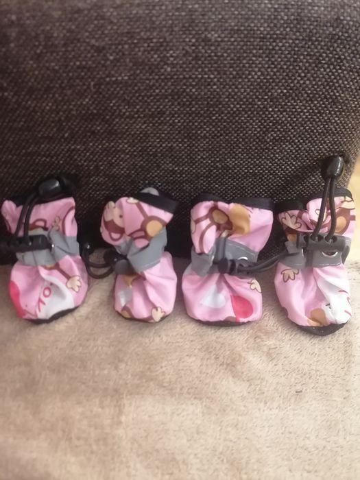 Nowe butki ochronne dla psa