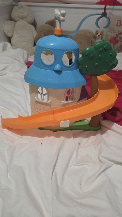 Bingo , rolley e gata