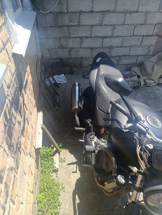 Honda hornet cb600f