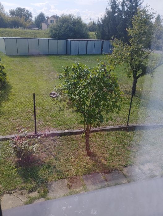 Wynajmę Garaż 3x5 m. z instalacją elektryczną Światło + Gniazdo - Widok 2