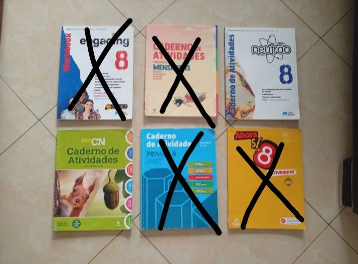 Cadernos de atividades 8º ano