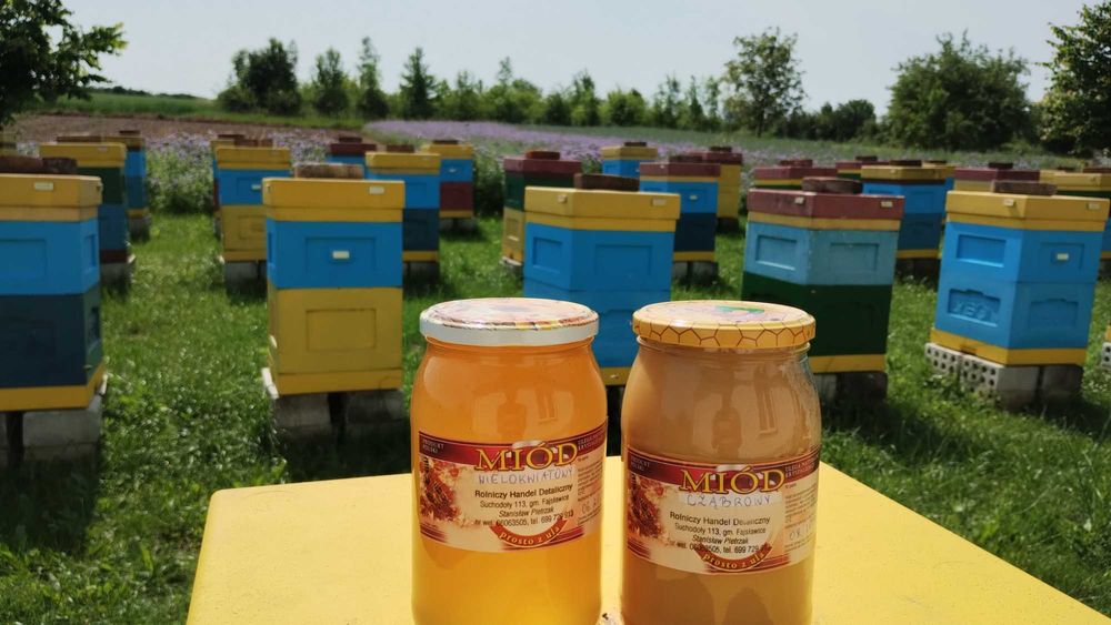 Miód wielokwiatowy