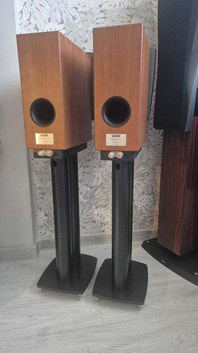 Kolumny Dynaudio Confidance C1