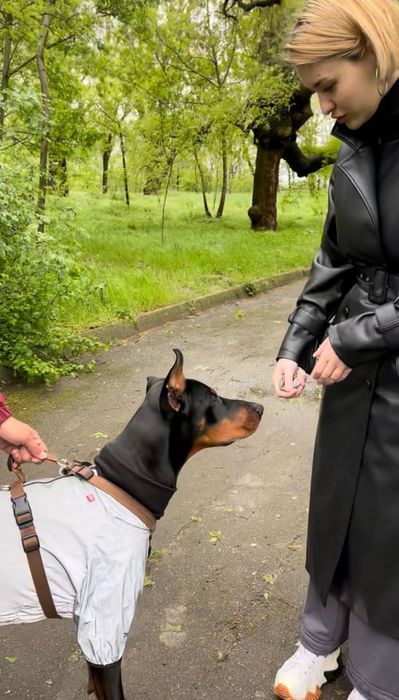 Кінолог | Зоопсихолог | Онлайн та офлайн