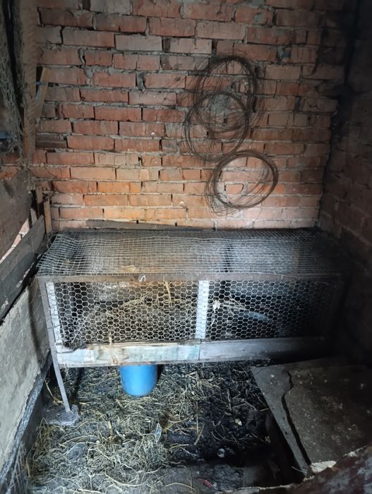 Клітка для кролів