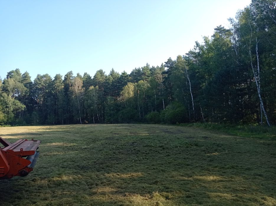 Mulczowanie koszenie łąk nieuzytków