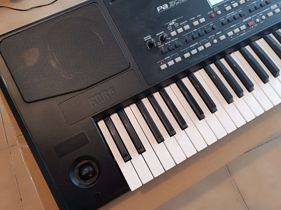 Teclado Korg PA 300