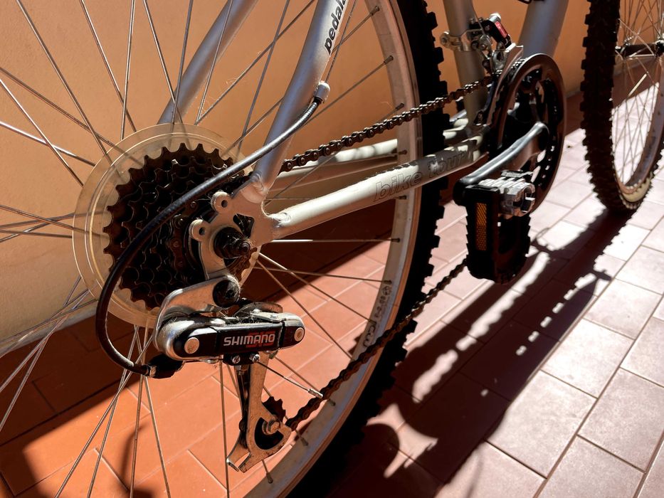 Bicicleta de Montanha