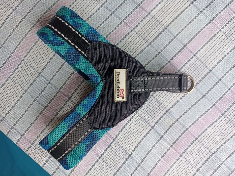 Нагрудник , нашийник, поводок для собак doodlebone XS