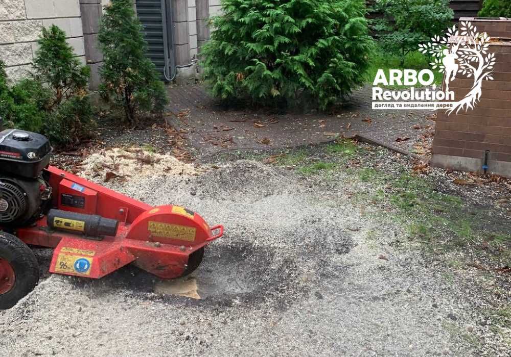 КОРЧЕВАНИЕ ПНЯ, корчування пня, видалення пня, удаление пня, пониження