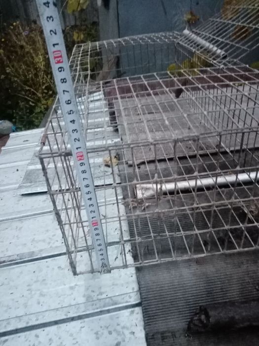 Клетки для перевоза птицы (кур, утей)