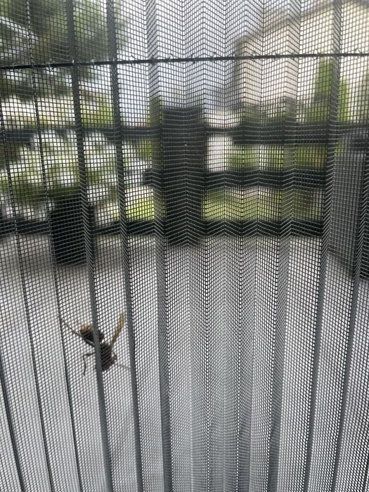 Naprawa rolet, żaluzji, moskitier