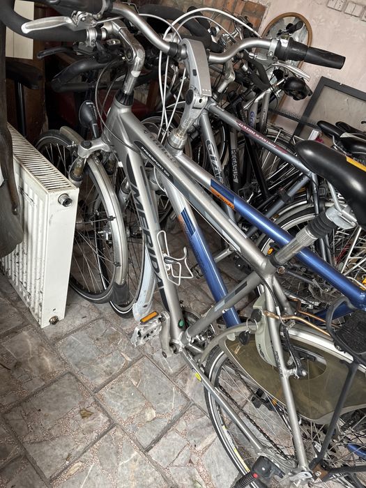 Rower holenderski Gazelle Giant Kuga