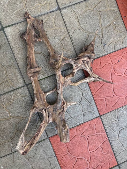 Коряга для акваріума