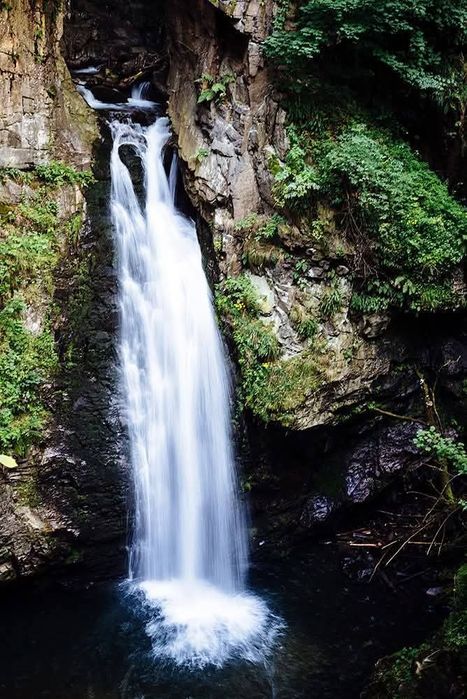 Dom pod Śnieżnikiem Apartament 2-7 os