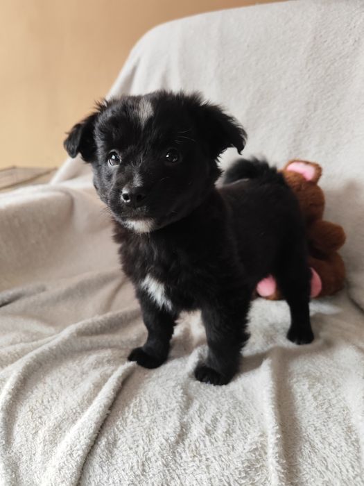 Tylko do właściwego domu