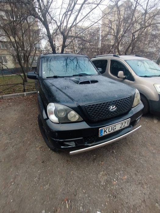 Таракан для бездоріжжя