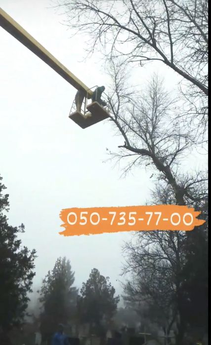 Спил, видалення, обрізка дерев, корчування пнів.Автовышка,вывоз мусора