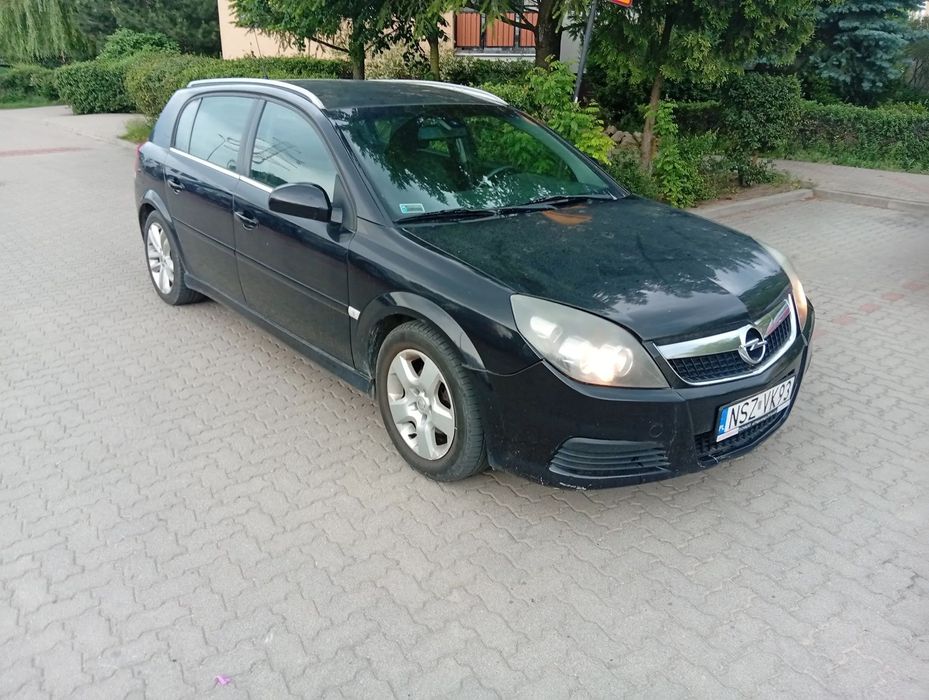 Opel Signum Opel Signum 1.9 CDTI 150 koni
