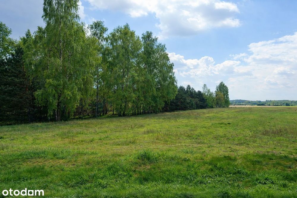 Działka Mogilno Z Warunkami Zabudowy