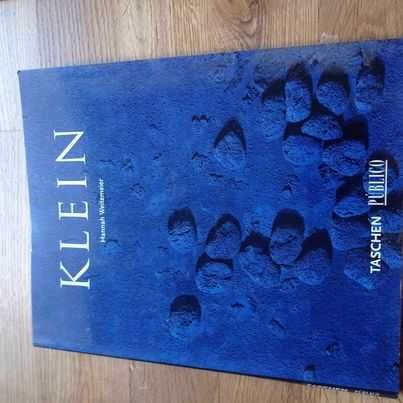 Vendo livro Klein