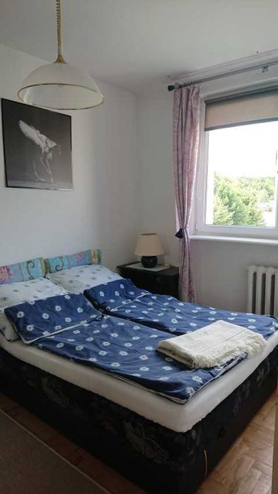 Mieszkanie – Sopot - Widok 4