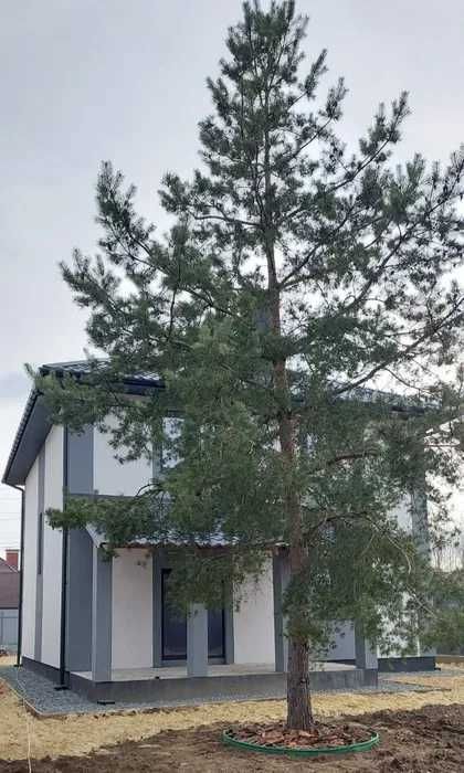 родається сучасний двоповерховий будинок у Гореничах