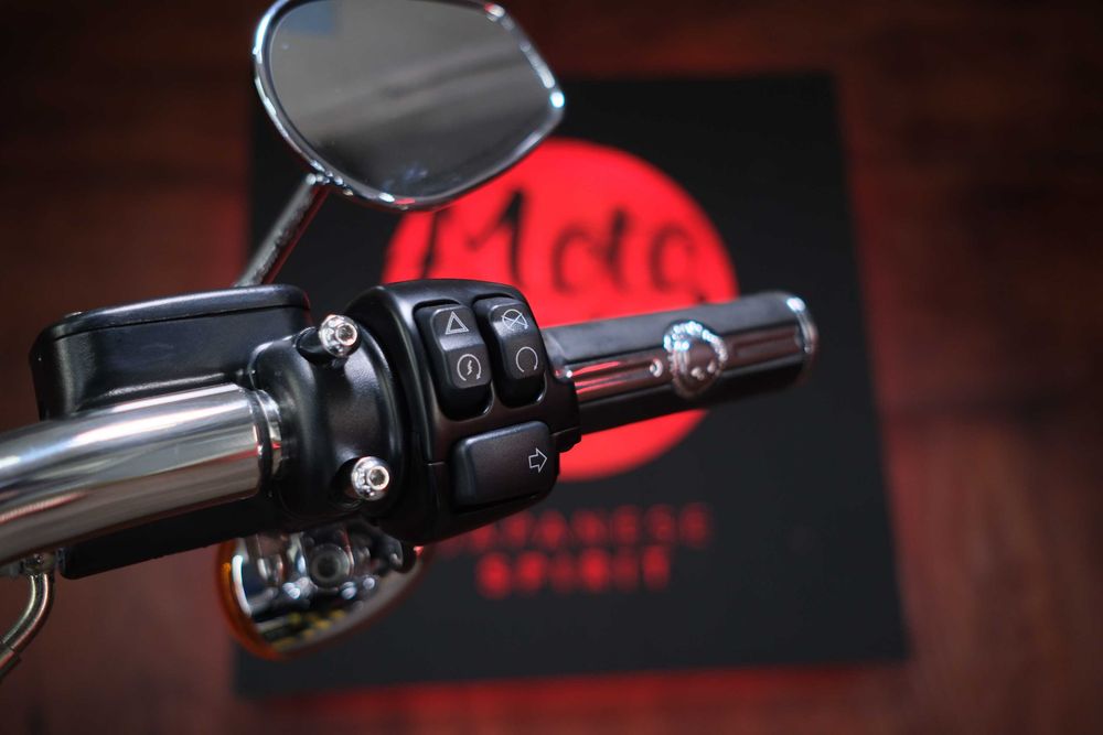 Harley-Davidson Fat Boy 107 із Японії