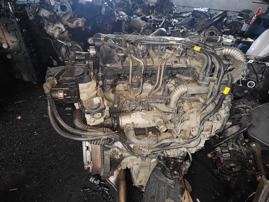 Продам двигун Фіат Скудо 1.6 мультіджет 2007 рік