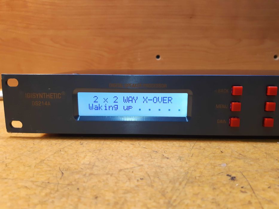 IGISYNTHETIC DS214A Digital Speaker Processor