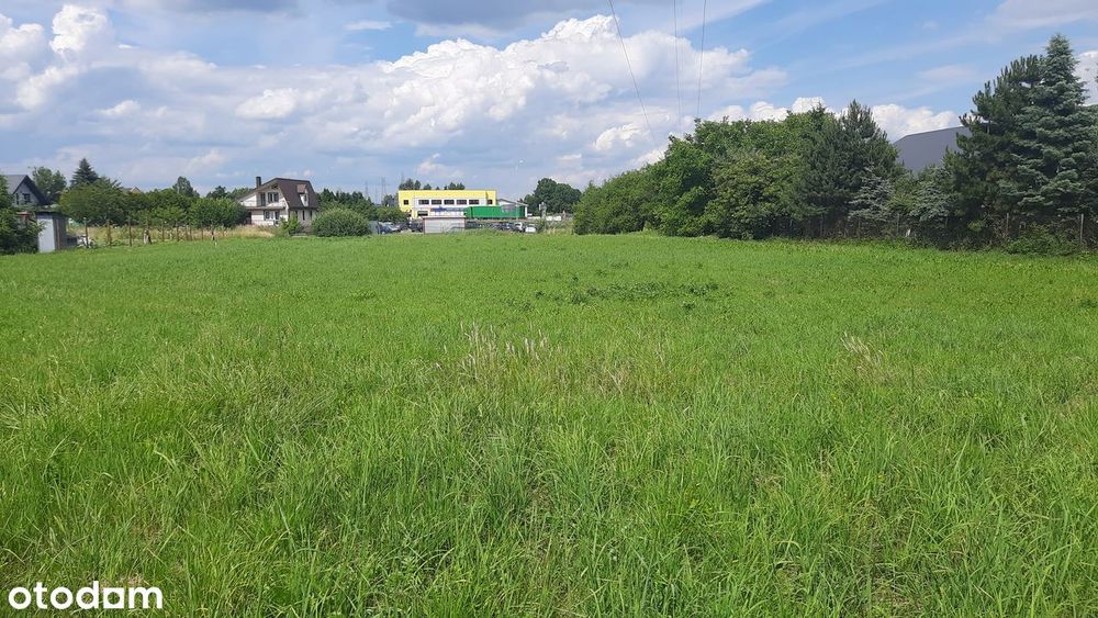 Działka pod inwestycję w mieście, 3100 m² - Widok 5