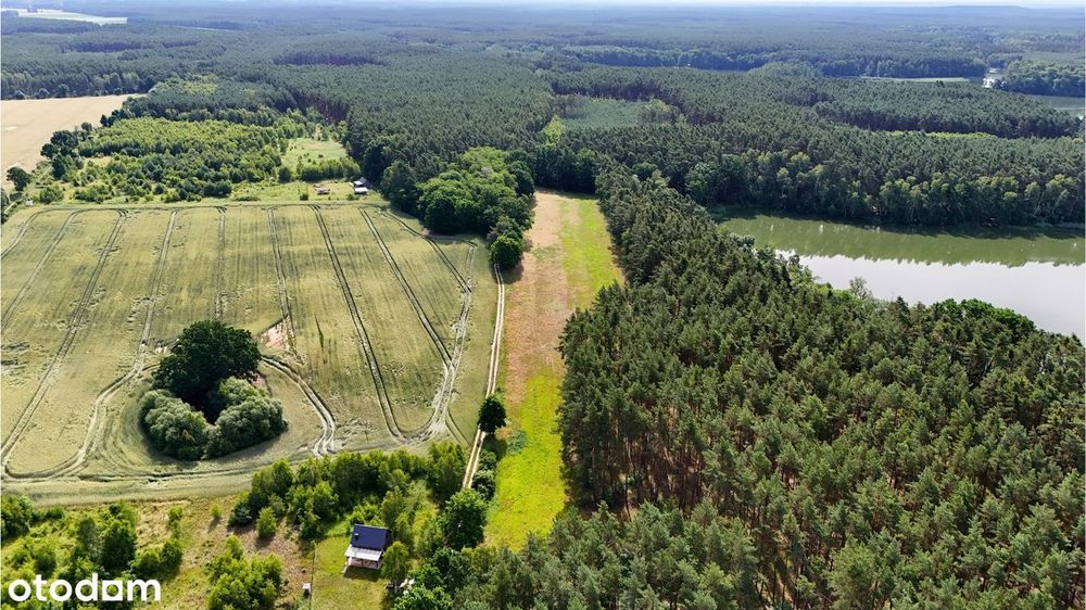 Działki budowlane nad Zalewem Bledzewskim. Las, jezioro i natura. - Widok 4