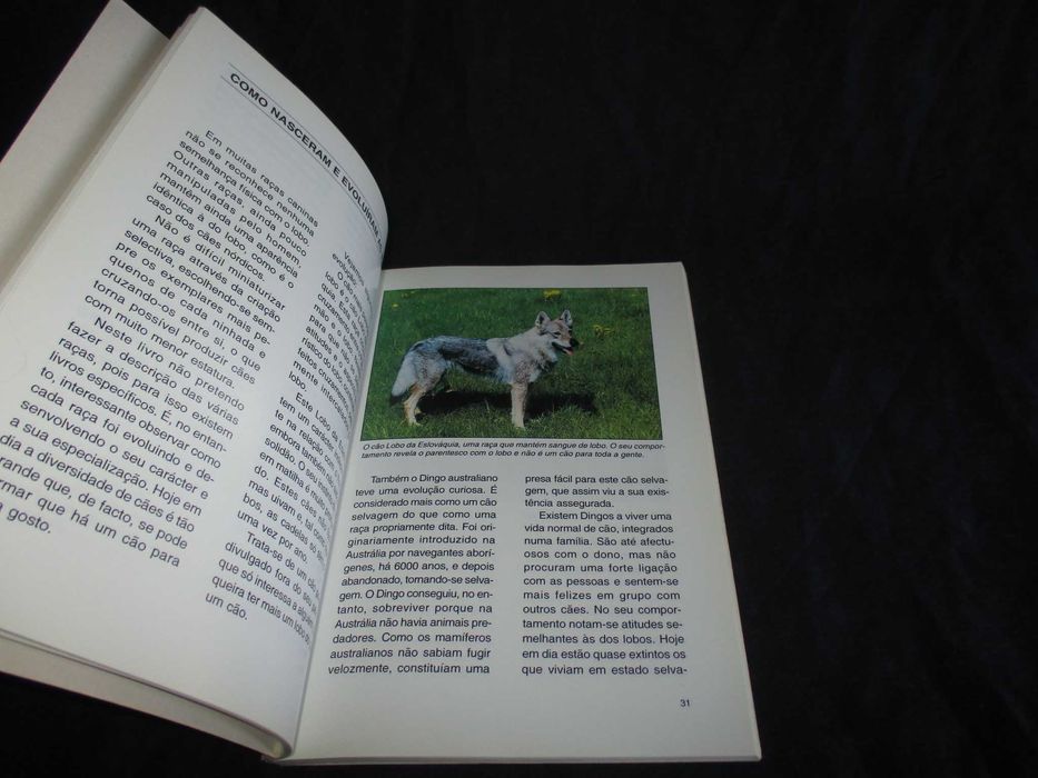 Livro Conheça melhor o seu cão Suzette Preiswerk da Mota Veiga