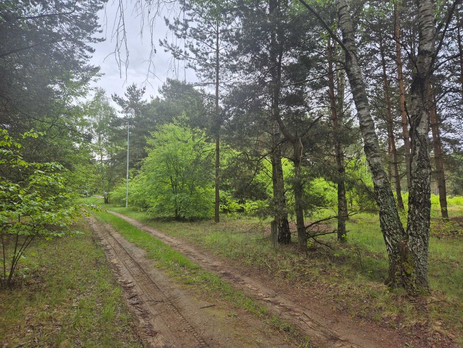 Działka budowlana w Aleksandrii - bez pośredników