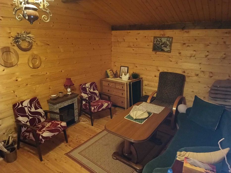 Drewniany domek letniskowy na działkach ROD Brodła