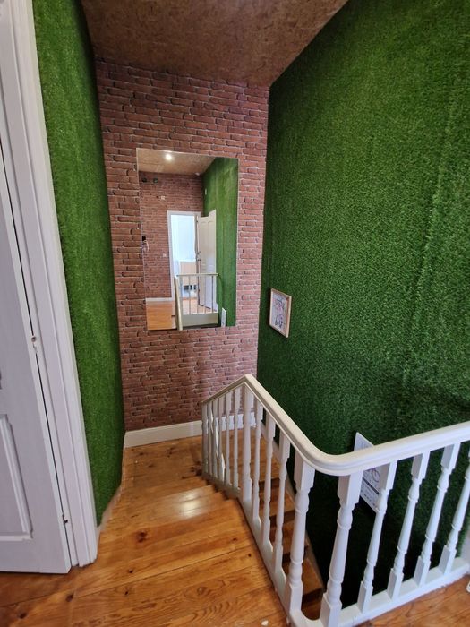 Quarto ESTUDANTE s. Mamede infesta