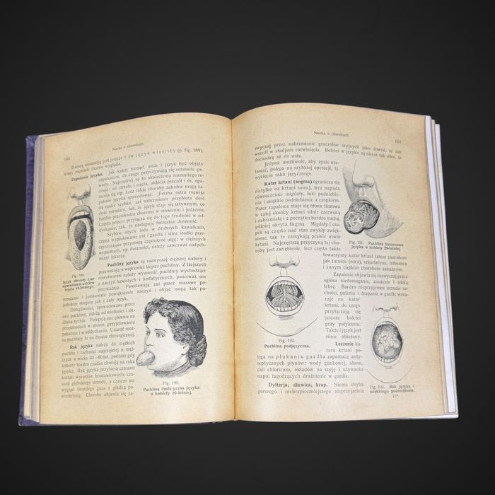 Antyk Lekarka Domowa Dr med. Janina Springer  przedwojenna encyklopedia B61/042501