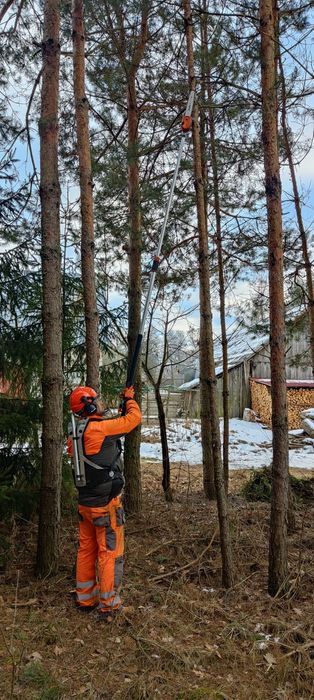 Wycinka drzew, koszenie trawy, rębak, wycinanie krzaków, podcinanie ga