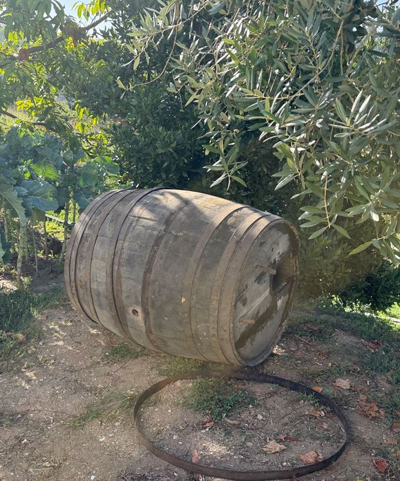 pipa de vinho em madeira usada