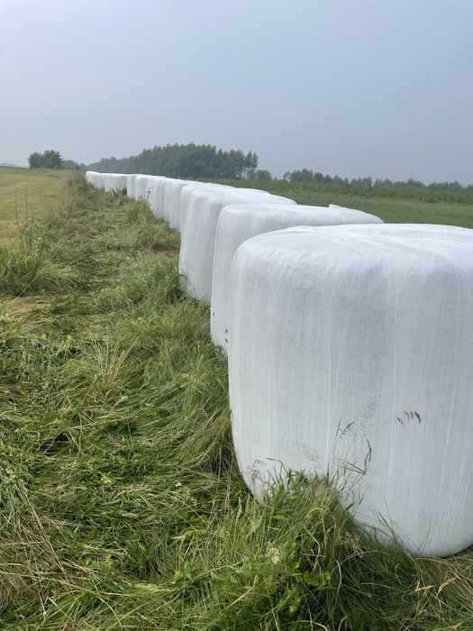 LUCERNA KONICZYNA Sianokiszonka z sianych traw zamówienia 2026  bele baloty