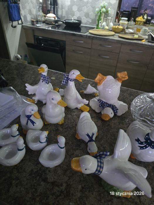 Zestaw kaczek ozdoba