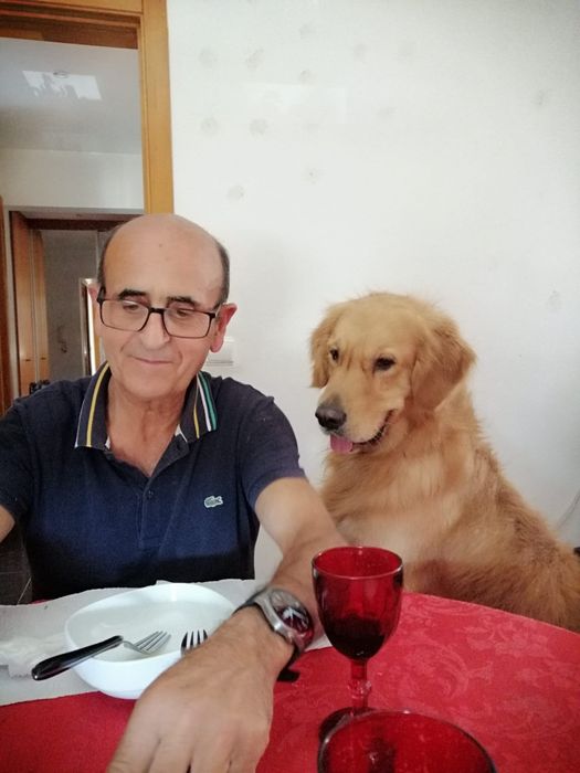 Explicações de: Matemática/Geometria Descritiva/Física/Engenharia/Arqu