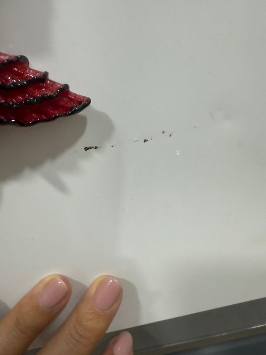 Frigorifico hotpoint